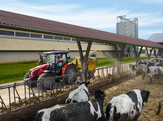 SAME Tractor for Livestock Farming SAME tractor feeding livestock with cattle in a farm feeding area