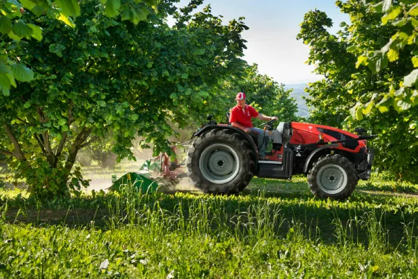 SAME Tractor for Orchard Farming SAME tractor operating in orchard rows performing crop maintenance