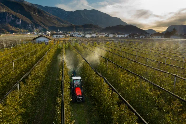 SAME Tractor for Vineyard Farming SAME tractor driving through vineyard rows spraying crops from above
